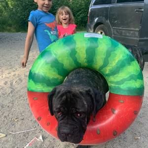 Meet your Posher, Victoria